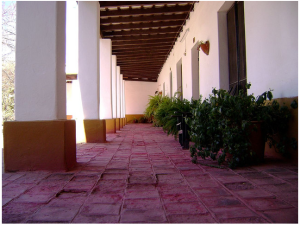 yerba_misiones